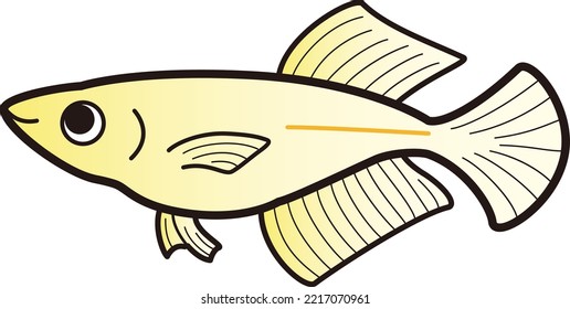 Illustration Of A Simple Hikari Killifish