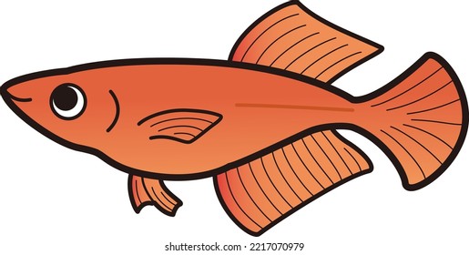 Illustration Of A Simple Hikari Killifish