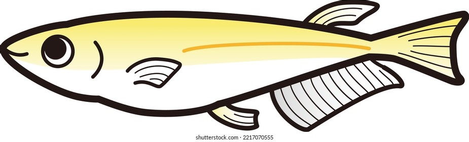 Illustration of a simple killifish