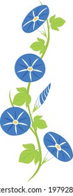 Illustration of a simple morning glory flower