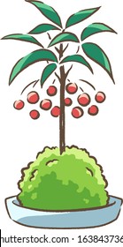 Illustration of a simple moss ball drawn in vector