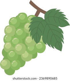 Ilustración de un simple Muscat