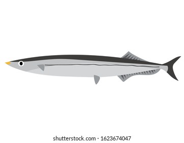 Illustration of a simple saury