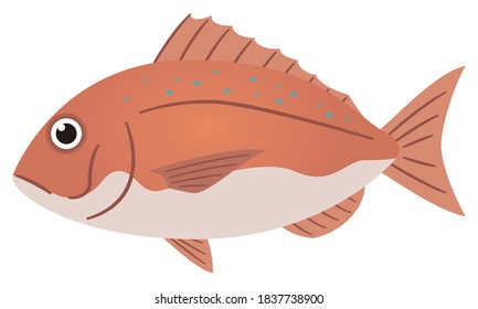 Illustration of a simple sea bream on a white background