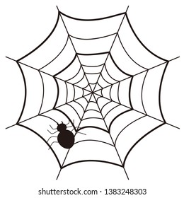 Illustration of a simple spider web