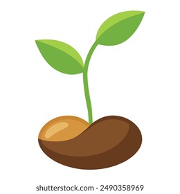 Illustration of simple sprouting seed isolated