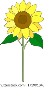 Ilustración de un simple girasol