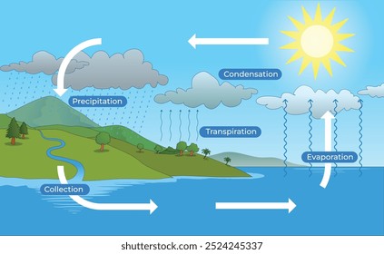 Ilustración del diagrama simple del ciclo del agua - Vector