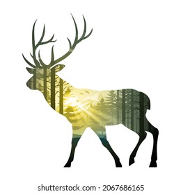 Illustration simulating a double exposure of a walking red deer and a dense coniferous forest.