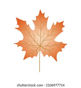 ilustración de una hoja de otoño única