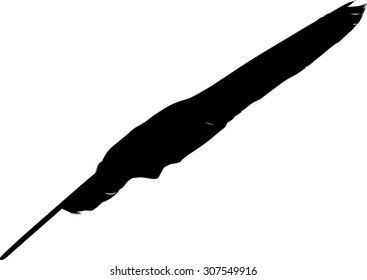 ilustración con una sola pluma negra sobre fondo blanco