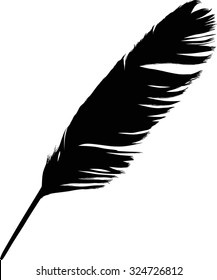 illustration with single black feather on white background