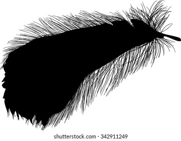 illustration with single black feather on white background