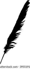 illustration with single black feather on white background