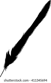 illustration with single black feather on white background