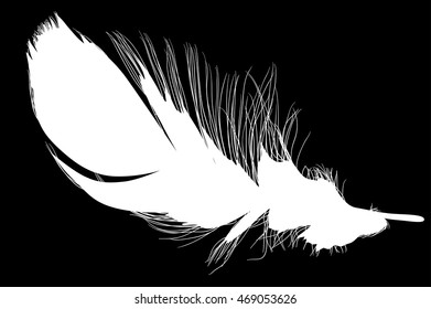 illustration with single black feather on black background