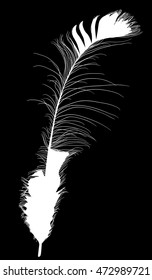 ilustración con una sola pluma negra sobre fondo negro