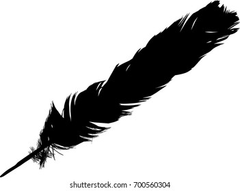 ilustración con una sola pluma negra sobre fondo blanco