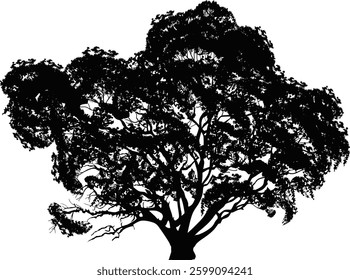 illustration with single black oak silhouette isolated on white bacgkround