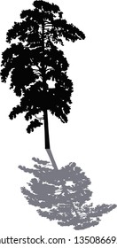 ilustração com silhueta de pinho preto isolado em fundo branco
