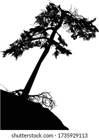 ilustración con una silueta de pino negro aislada sobre un fondo blanco