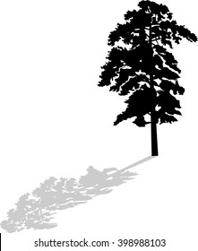 ilustração com silhueta de pinho preto único isolado no fundo branco