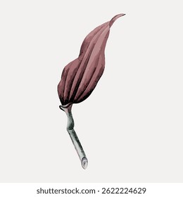 Illustration of a single brown leaf with a curved stem. The leaf has a textured, detailed surface. The brown leaf stands out against a light background. Vintage botanical illustration vector.