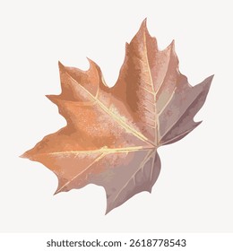 Illustration of a single brown maple leaf with detailed veins and texture, showcasing autumn colors. The leaf is isolated on a white background. Vintage botanical illustration vector.