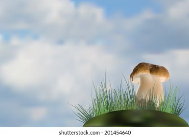 ilustração com um único cep cogumelo no fundo do céu