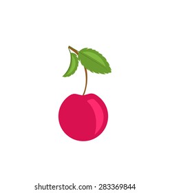 Illustration Single Cherry with Green Leaves Isolated on White Background - Vector