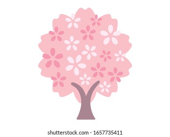 Illustration of a single cherry tree with flowers.
It can be used as one point for various advertisements and cards.