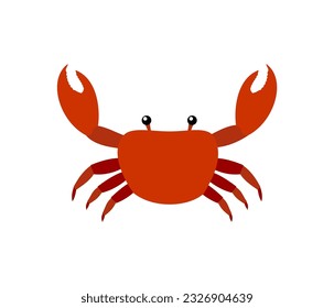 Illustration of single crab on white background