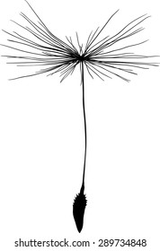 illustration with single dandelion seed  silhouette isolated on white background