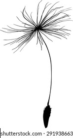dandelion seed silhouette