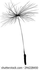 Illustration Single Dandelion Seed Silhouette Isolated Stock Vector ...