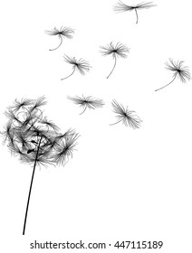 illustration with single dandelion silhouette isolated on white background