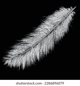 ilustración con una sola pluma aislada en fondo negro
