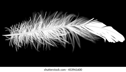 illustration with single feather silhouette isolated on black background