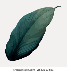 Illustration of a single green leaf with detailed texture. The leaf has a dark green hue, showcasing intricate veins and a smooth surface. Botanical art. Vintage botanical vector illustration.