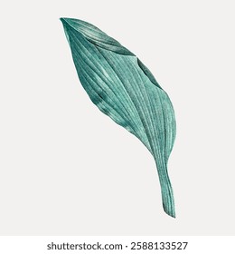 Illustration of a single green leaf with detailed texture on a light background. The leaf's intricate texture and green hue stand out. Green leaf illustration. Vintage botanical illustration vector.