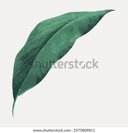 Illustration of a single green leaf. The leaf is detailed, showing texture and shading. Green leaf on a light background. Simple, elegant leaf design. Vintage art drawing, isolated vector element.
