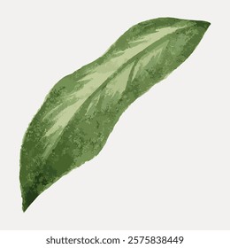 Illustration of a single green leaf with textured details. The leaf is depicted in a watercolor style, showcasing natural beauty and simplicity. Vintage illustration isolated on white, vector.