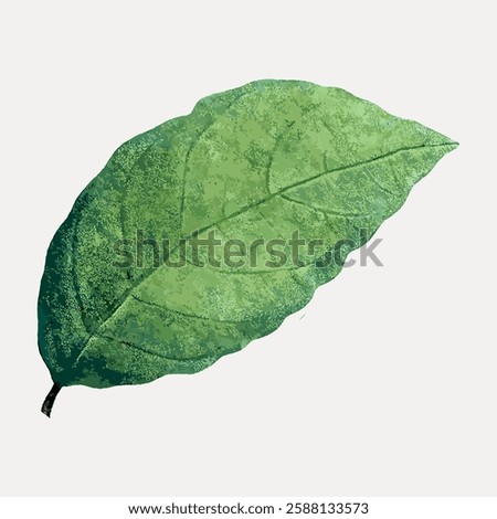 Illustration of a single green leaf with textured details. The leaf is shown on a light background, highlighting its natural, organic texture and color. Vintage botanical illustration vector.