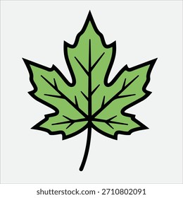 Illustration eines einzelnen grünen Ahornblattes mit fetten Umrissen auf einfarbigem Hintergrund.