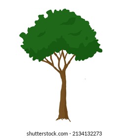 ilustración Árbol verde único en espacio en blanco
