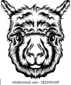 The illustration of the single head alpaca tattoo animation