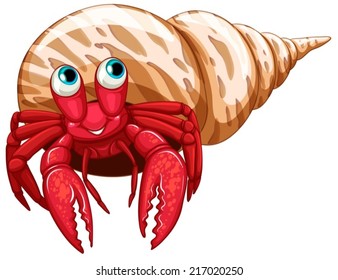 Illustration single hermit crab
