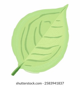 Illustration of a Single Leaf for Minimalist and Nature Themed Designs ecofriendly branding, plant illustrations