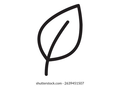 Illustration of a single leaf with a prominent vein line