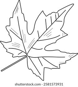 The illustration of single maple leaves that are identical to Canada's.